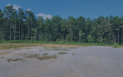 Building the Future: What to know about Greenfield Development in Data Centers